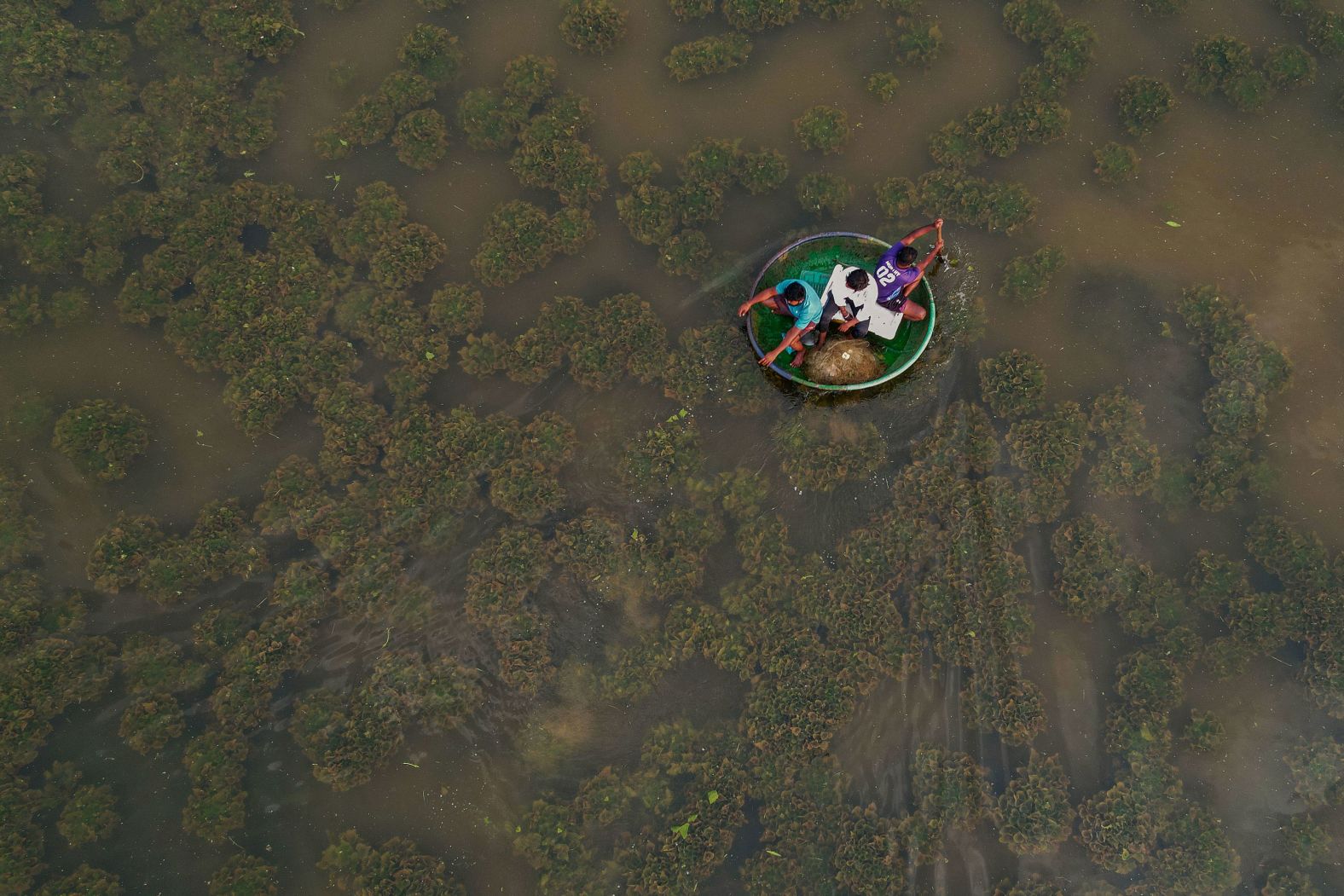 Fishermen cast a net in a lake on the outskirts of Bangalore, India, on Tuesday, April 19.