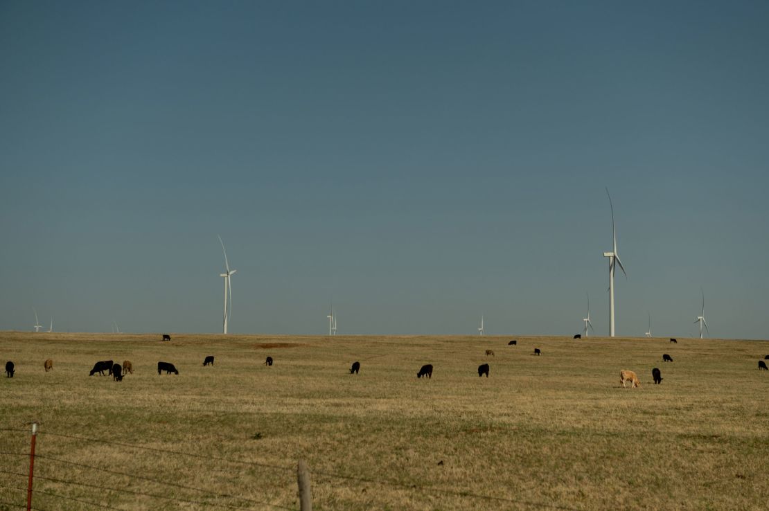 Cows graze near Weatherford.