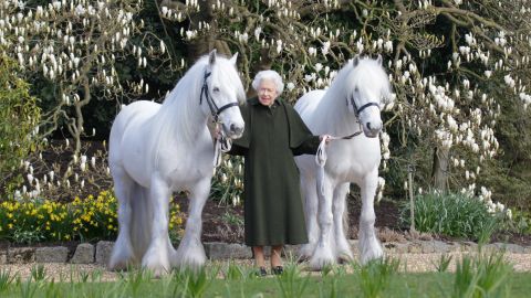Queen Elizabeth II with her two Fell ponies, in a photo released to mark her 96th birthday.