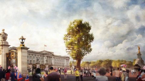 tree of trees buckingham render