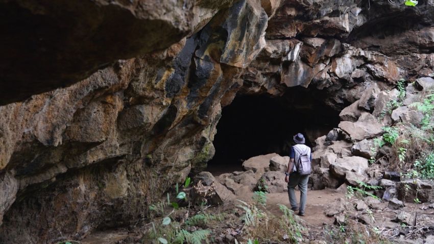 avcm cave bureau 2
