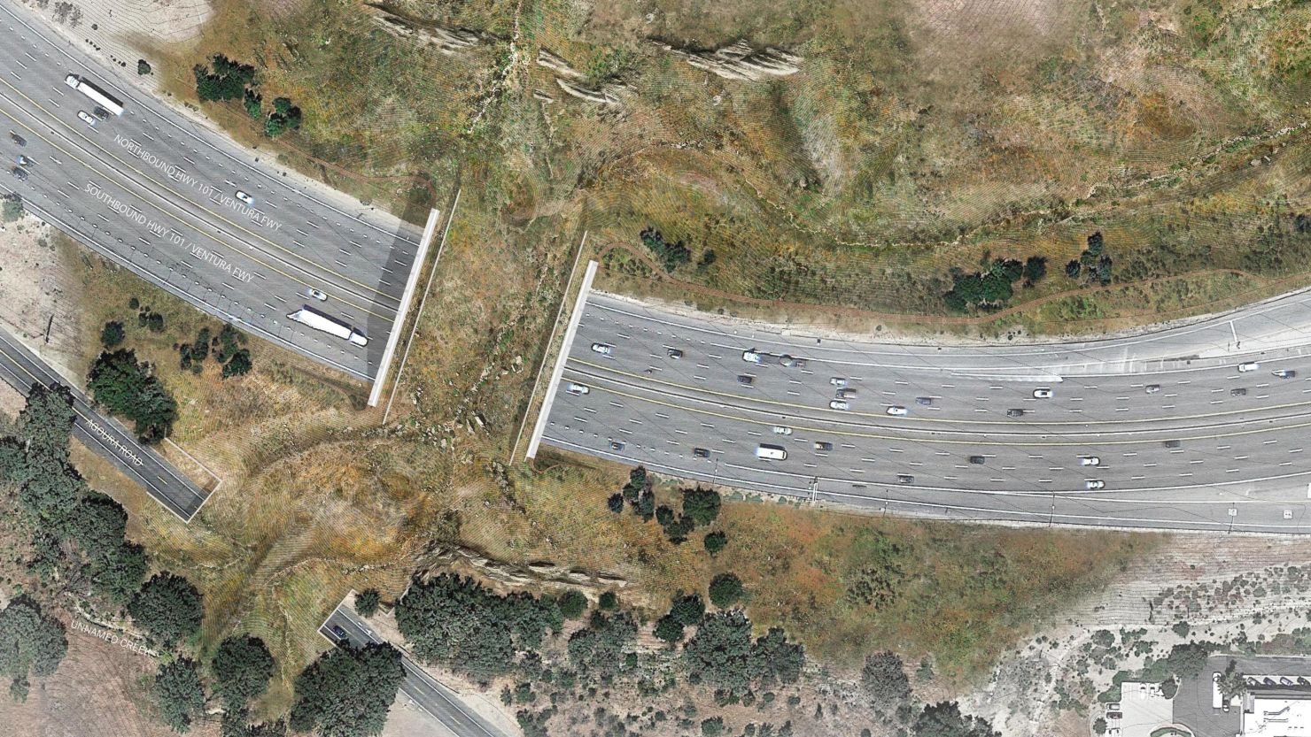 A rendering shows how the bridge will let animals cross over traffic. 