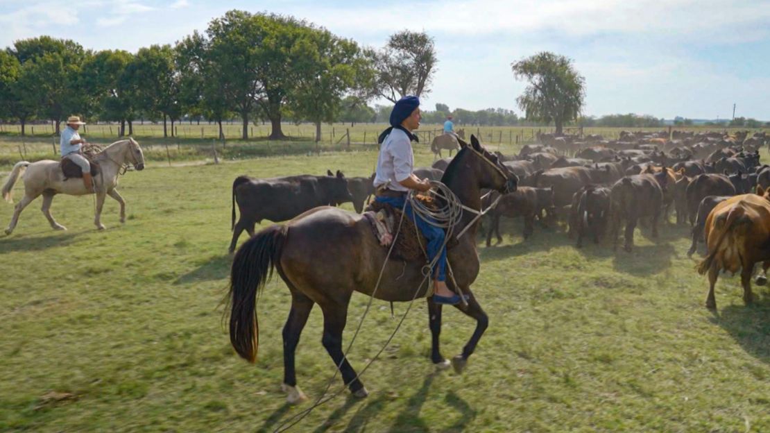 Visitors can experience the gaucho life at El Ombú ranch.