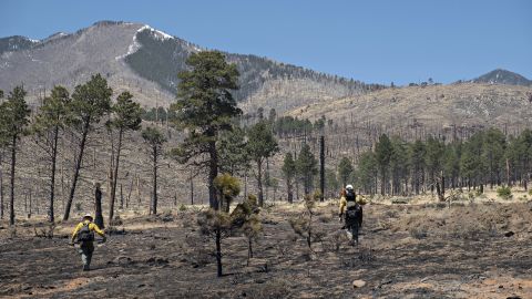 Resource Advisors from the Coconino National Forest record data in Division Alpha as they work to determine the severity of Tunnel Fires impact on the Forest on Thursday, April 21, 2022.