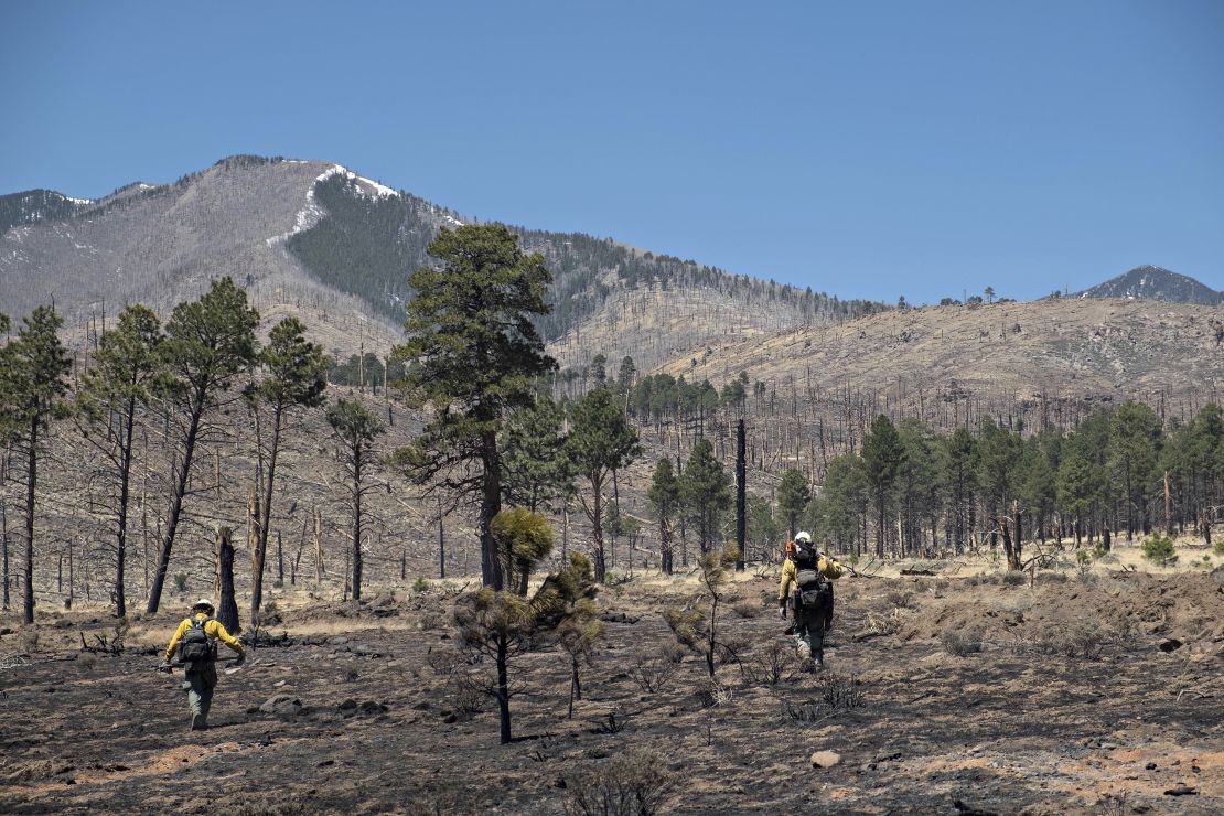 Resource Advisors from the Coconino National Forest record data in Division Alpha as they work to determine the severity of Tunnel Fires impact on the Forest on Thursday, April 21, 2022.