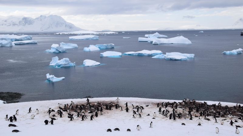 NEW 2023 Antarctica - Small group, luxury fly-sail photography