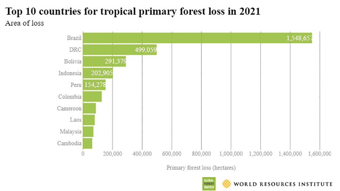 03 forests fire logging climate