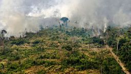 TOPSHOT - View of a burnt area in the Amazon rainforest, near Porto Velho, Rondonia state, Brazil, on August 25, 2019. - Brazil on Sunday deployed two C-130 Hercules aircraft to douse fires devouring parts of the Amazon rainforest, as hundreds of new blazes were ignited and a growing global outcry over the blazes sparks protests and threatens a huge trade deal. (Photo by CARL DE SOUZA / AFP)        (Photo credit should read CARL DE SOUZA/AFP via Getty Images)