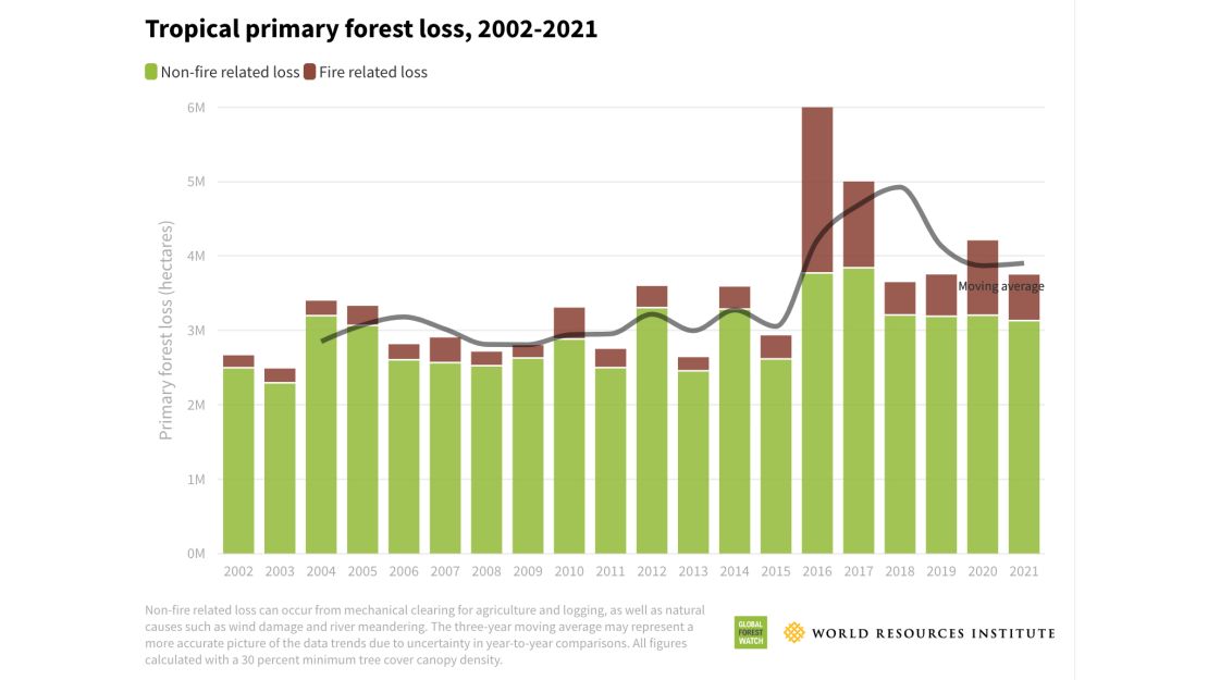 Tropical primary forest loss