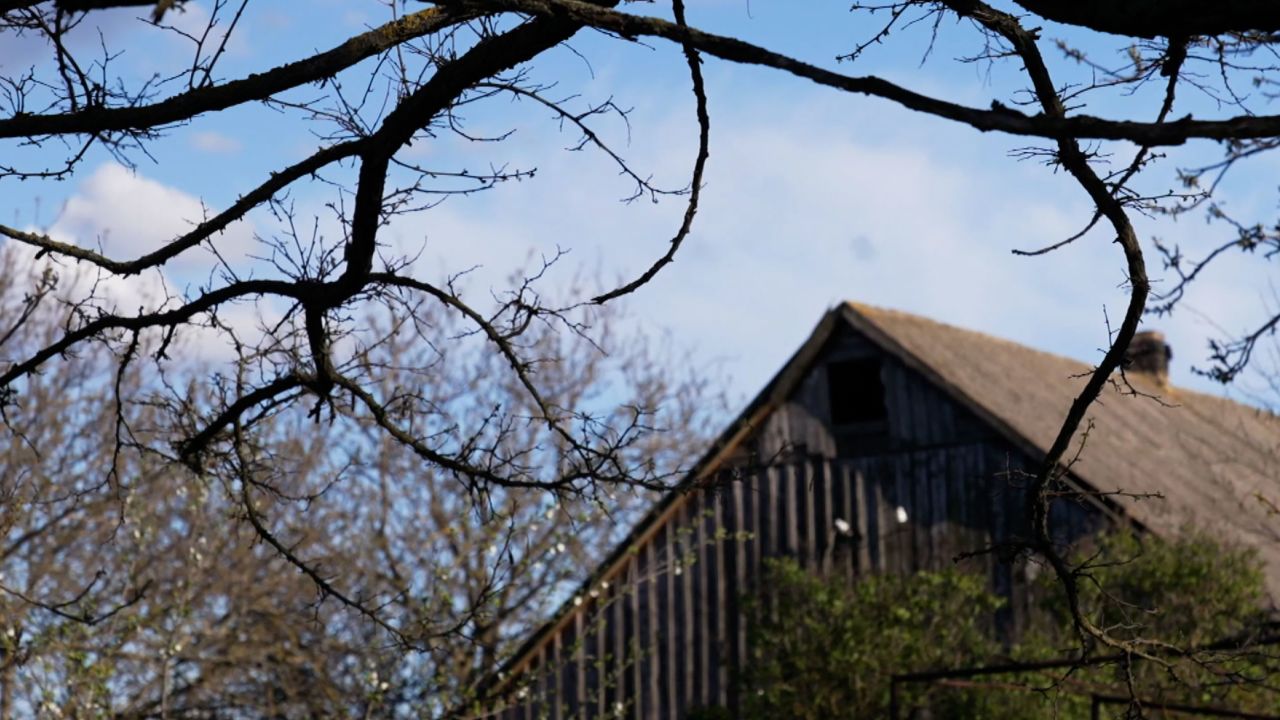 Dasha and her family had been sheltering in their basement prior to the alleged rape.