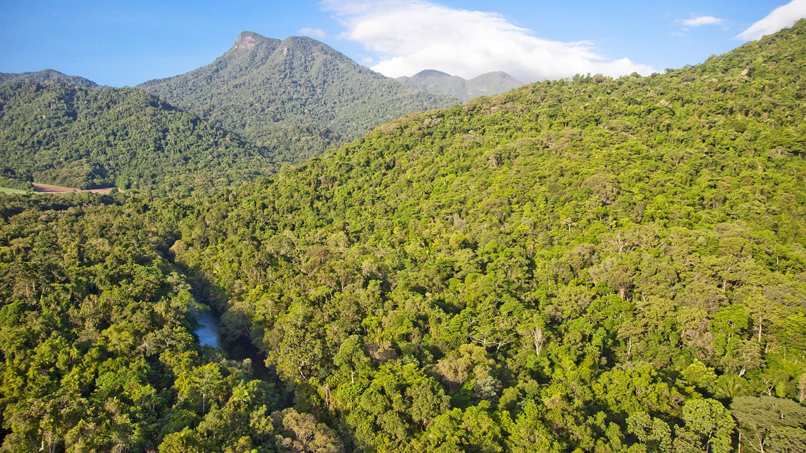 <strong>Daintree Rainforest, Queensland:</strong> The 180-million-year-old UNESCO World Heritage-listed Daintree National Park fans out over 1,200 square kilometers.