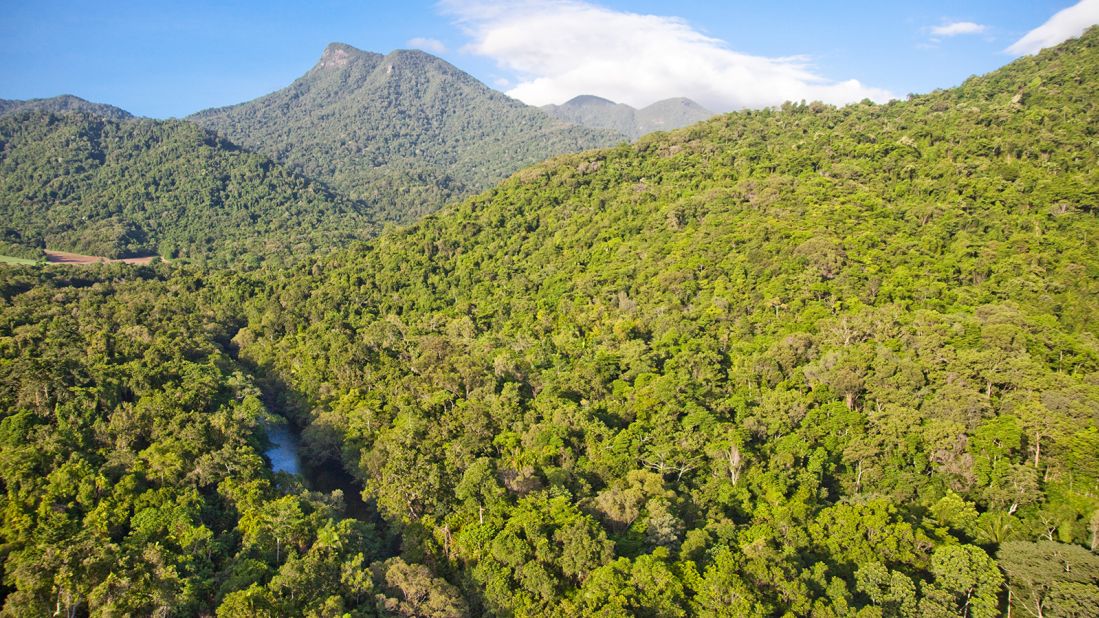 <strong>Daintree Rainforest, Queensland:</strong> The 180-million-year-old UNESCO World Heritage-listed Daintree National Park fans out over 1,200 square kilometers.