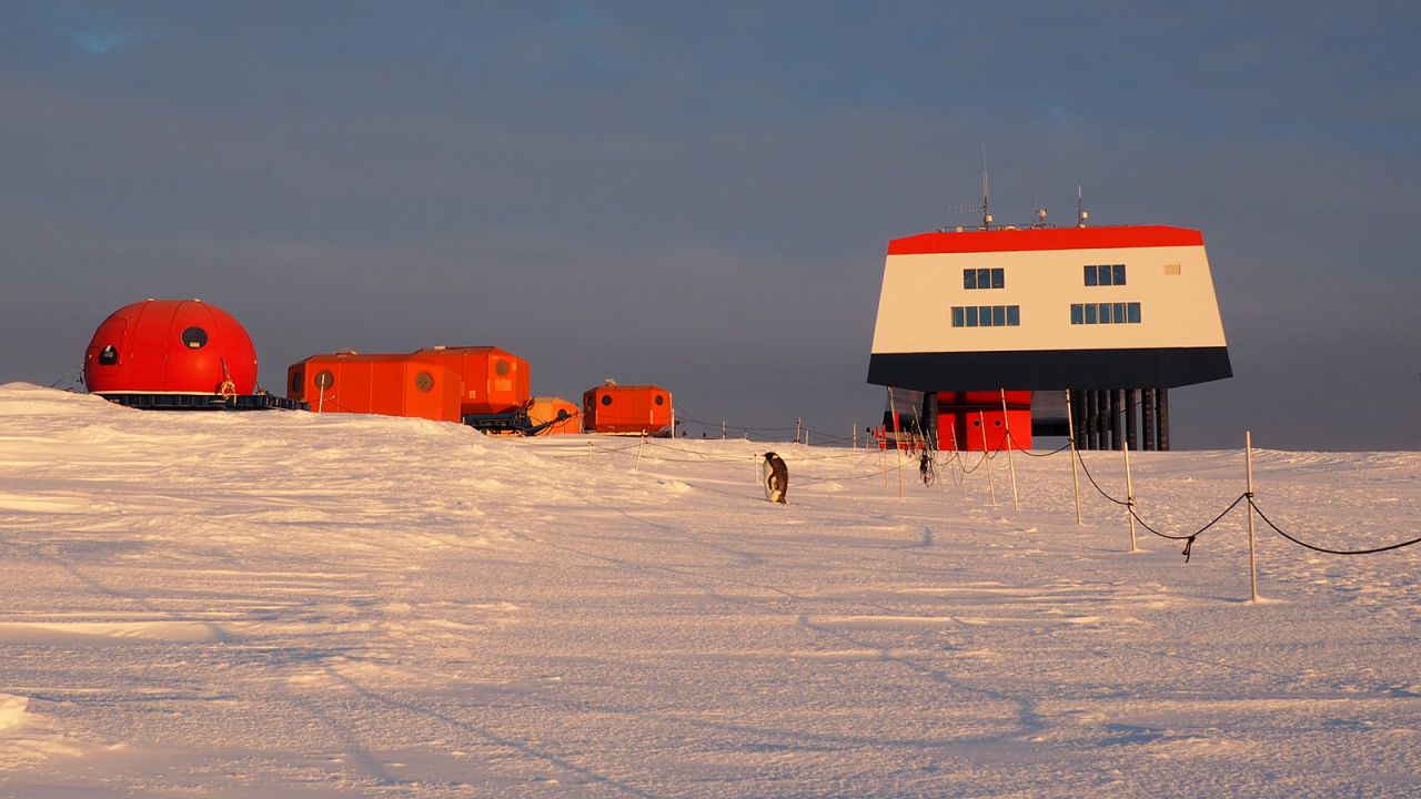 A lone penguin in the process of shedding its feathers can be seen in front of German research base Neumayer Station III, lit by the setting midnight sun.