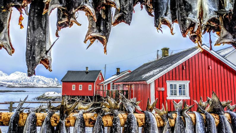 <strong>On the Phone winner | Kasia Ciesielska-Faber of the United Kingdom | "Drying Stockfish":</strong> In the Lofoten archipelago of Norway, stockfish racks are part of the landscape. Cod is preserved by drying it on large racks with no salt or smoke required as the temperatures are just below freezing.