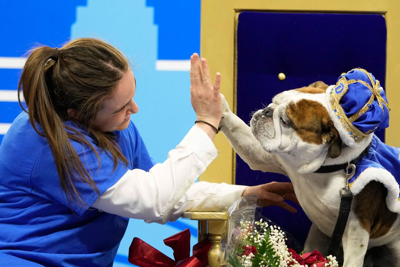 Maggie Estby high-fives her bulldog Bam Bam on Monday, April 25, after the pooch was crowned the winner of the annual <a href="https://www.desmoinesregister.com/story/entertainment/2022/04/25/drake-beautiful-bulldog-winner-2022-relays-bam-bam-minnesota/7387460001/" target="_blank" target="_blank">Beautiful Bulldog Contest</a> in Des Moines, Iowa.