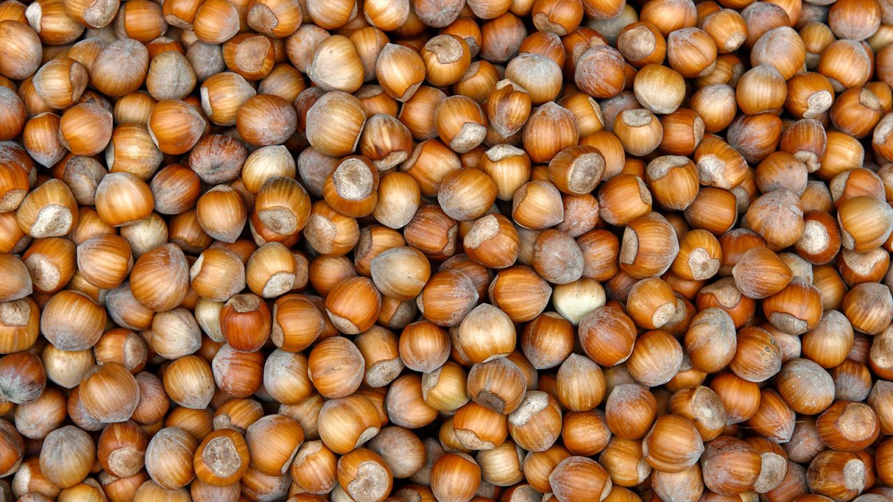 <strong>Perfect combination:</strong> Langhe hazelnuts, also known as tonda gentile, blend perfectly with the flavor of the cocoa butter, creating a tender, voluptuous and creamy concoction.<br />