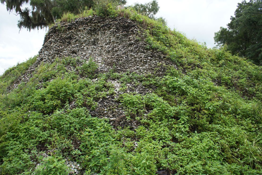 A massive shell mound at the Crystal River site in Florida is shown. 