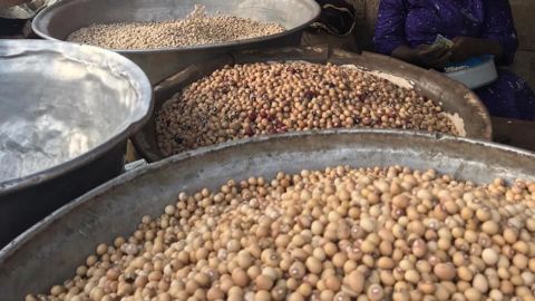 Bambara groundnuts (pictured) are grown in semi-arid regions in Asia and Africa, including Ghana where WhatIF is working with over 1,600 farmers. 