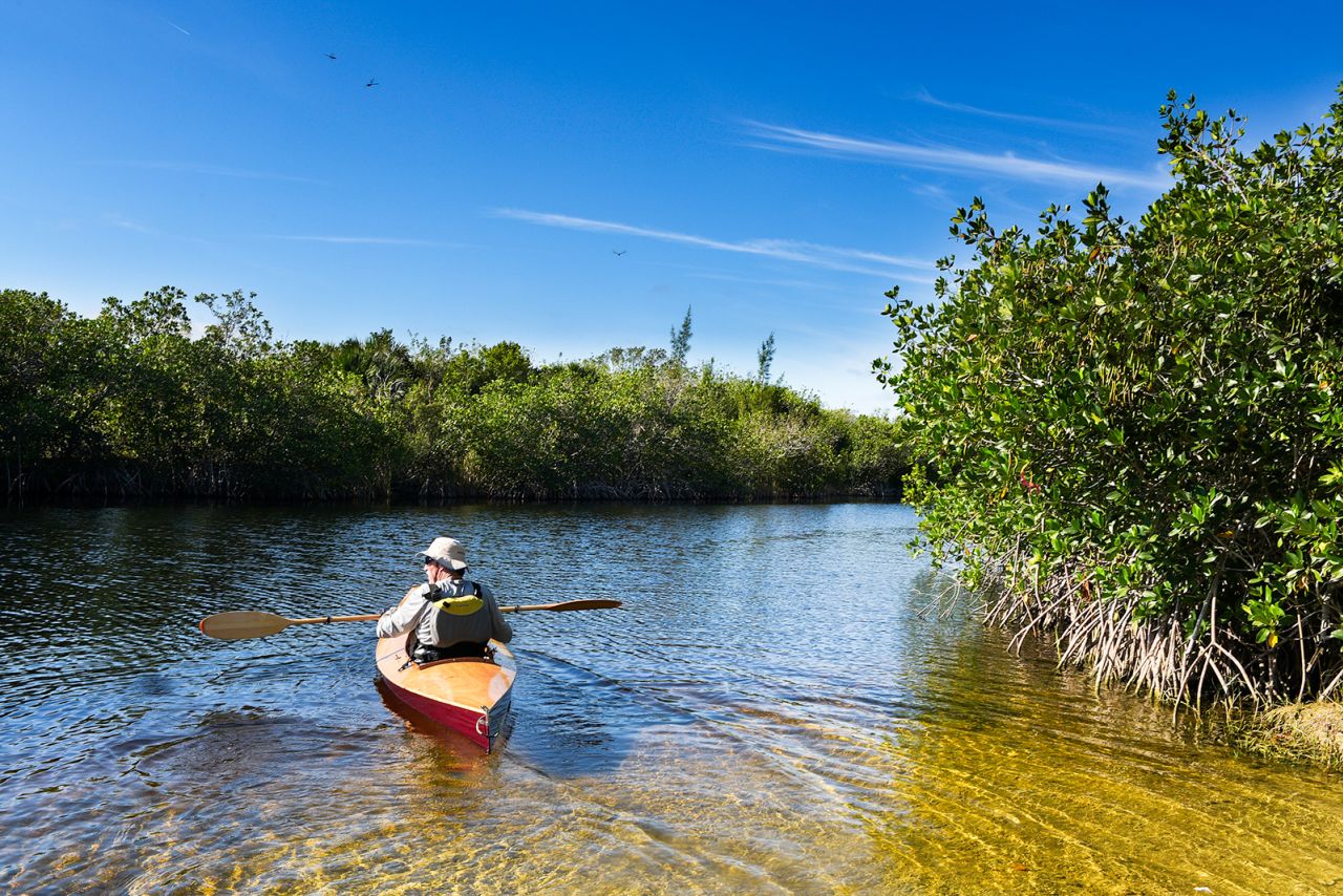 A man paddles in the Florida Everglades. If you spot a gator while on the water, respect its space.