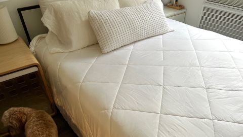 Cozy Earth Comforter