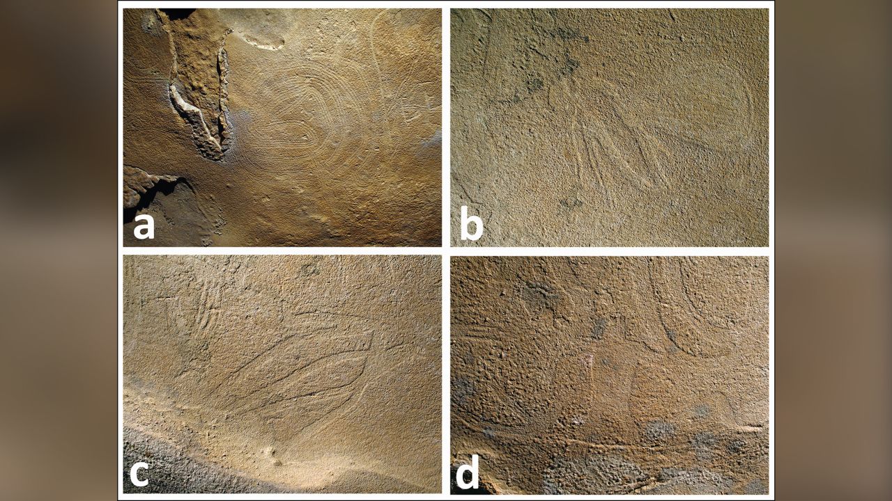 Smaller mud glyphs show a) a coiled serpent figure, b) wasp, c) stylized bird and d) anthropomorphic figure surrounded by swirling lines.
