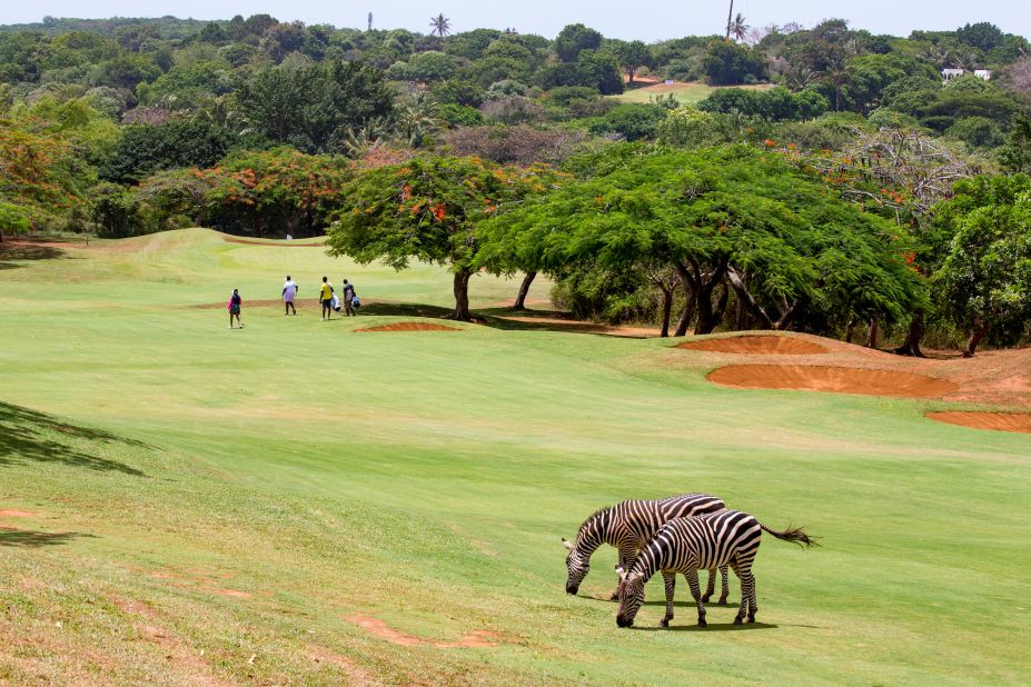 Vipingo Ridge hopes to bring in more endangered species, and ultimately introduce a breeding program.