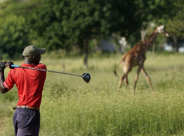 There are no predators on the site, so golfers can swing in peace.