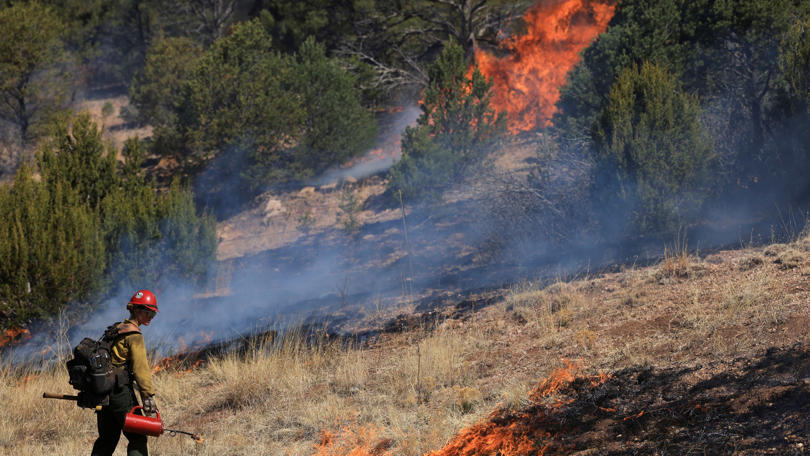 A firefighter conducts a prescribed burn Wednesday to combat the Hermits Peak/Calf Canyon Fire.