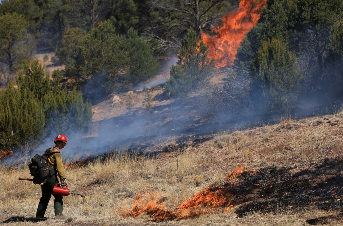 A firefighter conducts a prescribed burn Wednesday to combat the Hermits Peak/Calf Canyon Fire.