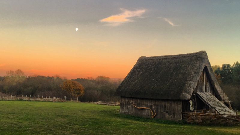 Anglo-Saxons ended up largely vegetarian but loved the odd meat feast Anglo-Saxons ended up largely vegetarian but loved the odd meat feast