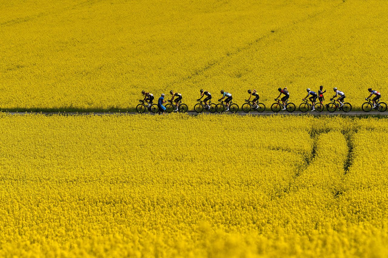 The peloton passes through a flowery landscape in Oulens-sous-Échallens, Switzerland, during the second stage of the Tour de Romandie on Thursday, April 28.