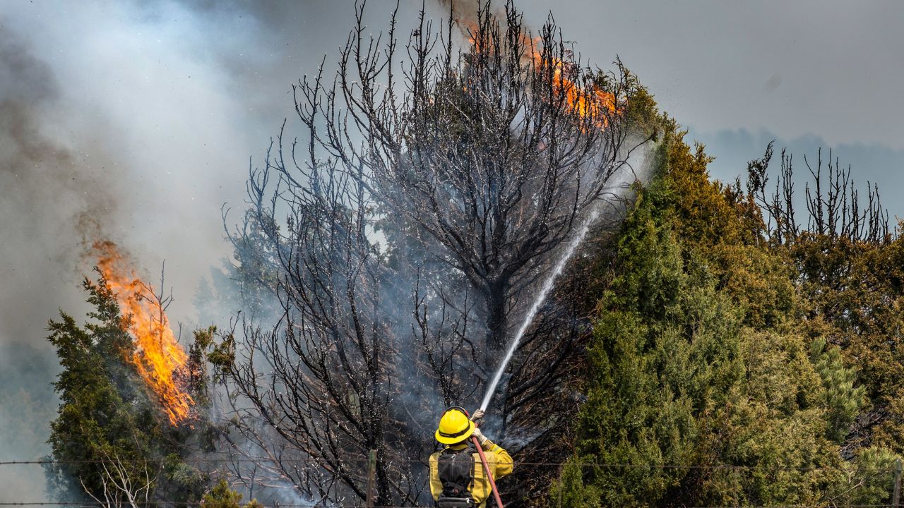 Firefighters on Thursday trying to hold the Calf Canyon/Hermit Peak Fire near Las Vegas, New Mexico.