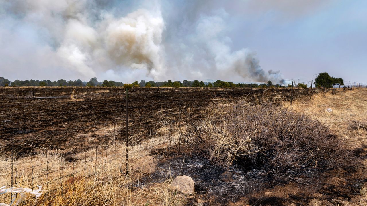 The Calf Canyon/Hermit Peak Fire on Thursday left burned fields and forest near Las Vegas, New Mexico. 