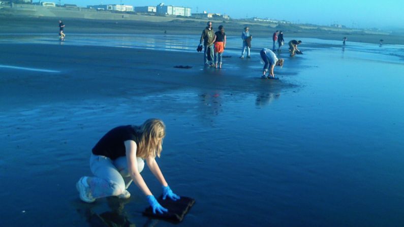 Pictured, Matter of Trust volunteers using hair mats to clean up oil from a San Francisco beach in 2007, after the <a href="index.php?page=&url=https%3A%2F%2Fresponse.restoration.noaa.gov%2Fremembering-cosco-busan-overview-2007-oil-spill" target="_blank" target="_blank">Cosco Busan container ship spilled more than 50,000 gallons of oil</a> following its collision with the San Francisco Bay Bridge.