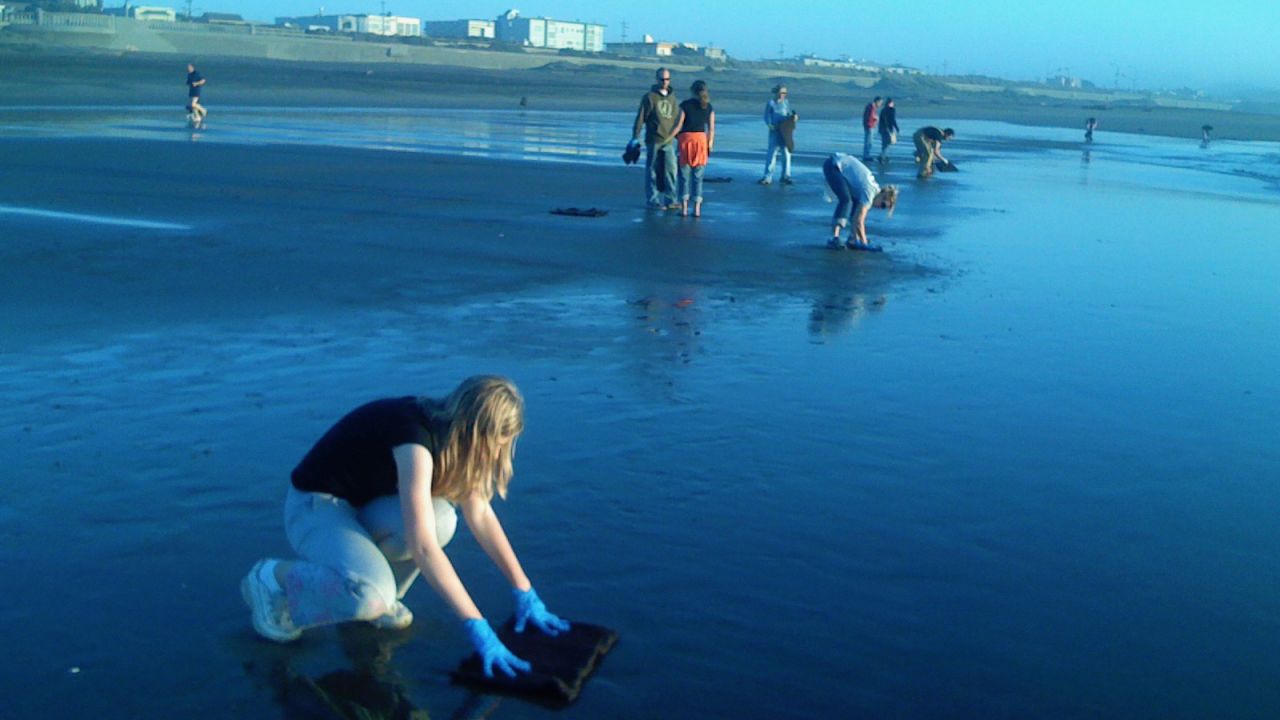 Pictured, Matter of Trust volunteers using hair mats to clean up oil from a San Francisco beach in 2007, after the <a href="https://response.restoration.noaa.gov/remembering-cosco-busan-overview-2007-oil-spill" target="_blank" target="_blank">Cosco Busan container ship spilled more than 50,000 gallons of oil</a> following its collision with the San Francisco Bay Bridge.