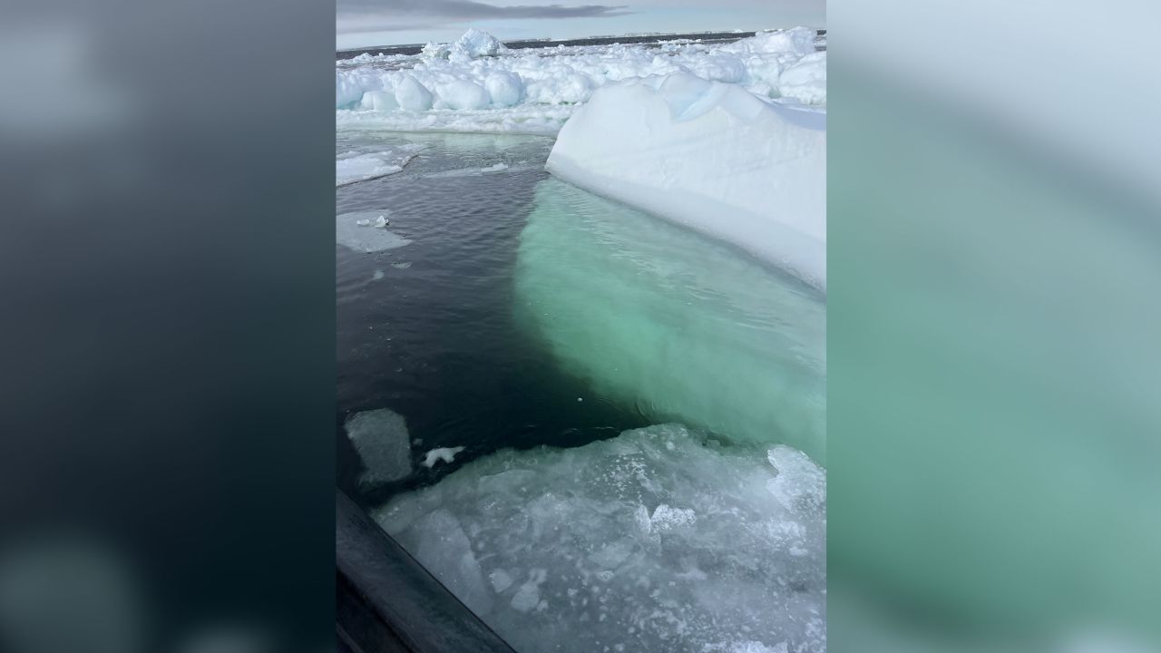 Iceberg seen from above and below the water line. Credit: Dr. Patricia Yager