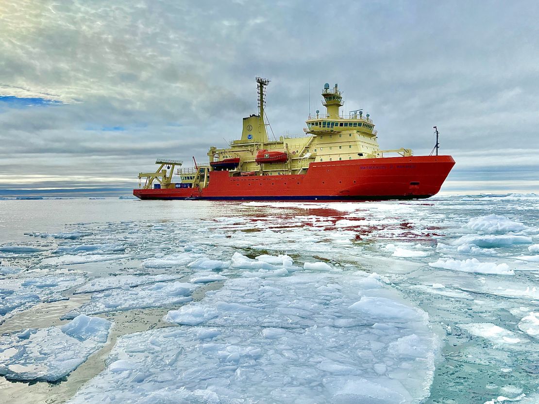 Nathaniel B. Palmer ship among icebergs.  Credit:  Dr. Patricia Yager