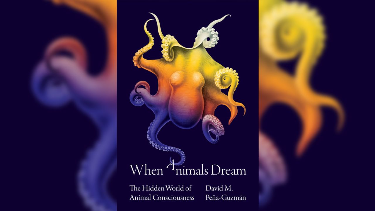 Peña-Guzmán has a book coming out called "When Animals Dream: The Hidden World of Animal Consciousness." 