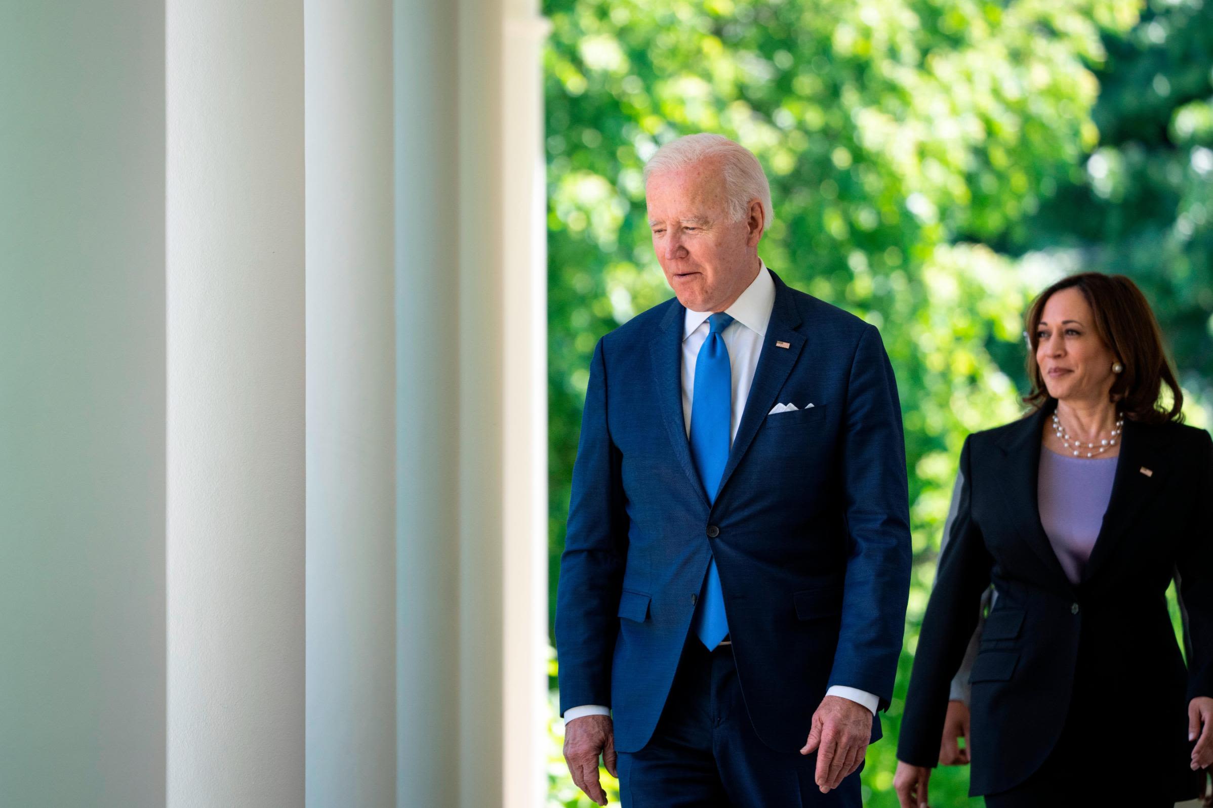 Meet the Family: A Closer Look at the Biden and Harris Kin – WWD
