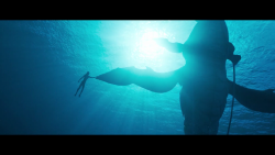 Hollywood Minute: 'Avatar' sequel first look_00001409.png