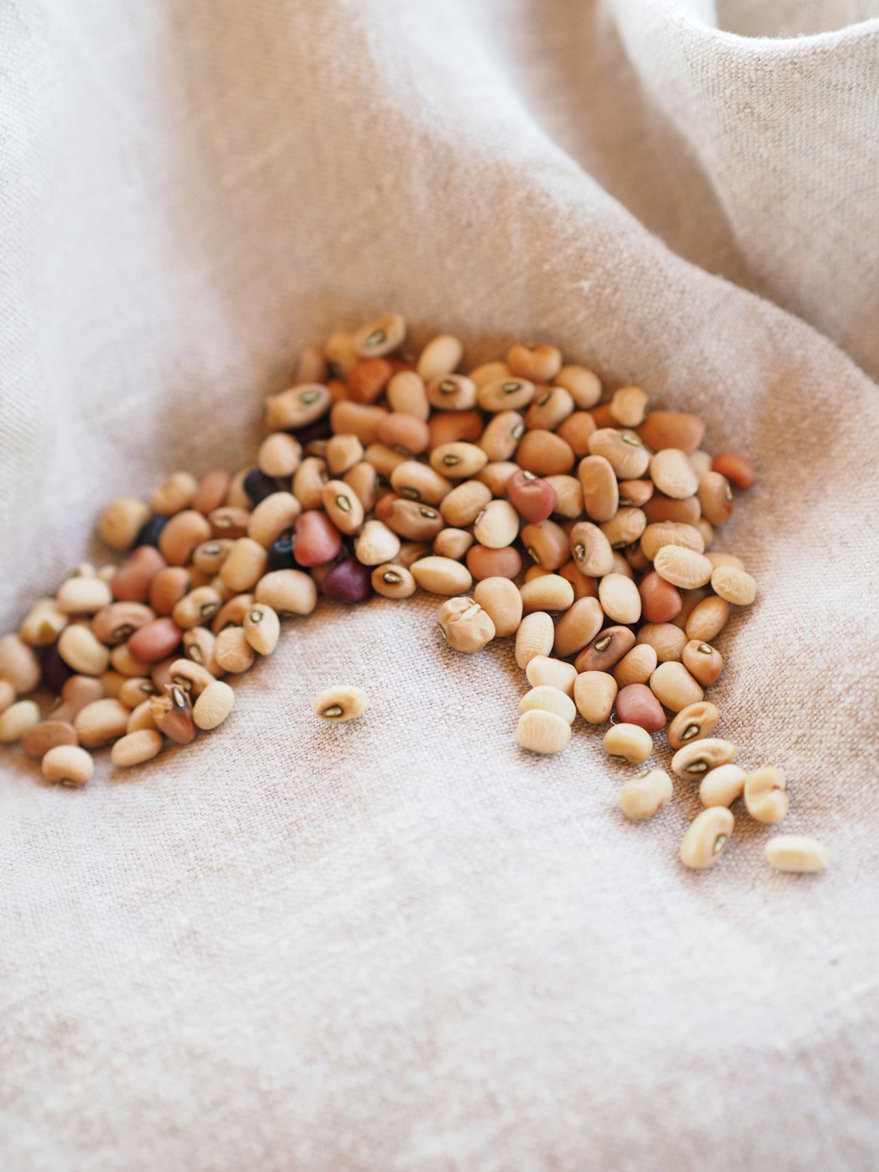 Trasimeno's 'fagiolina' bean used to be rabbit food. Now it's a prized ingredient.