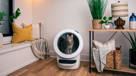 robot de litière pour chat 4 avis
