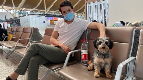 卡尔弗在从上海起飞的航班上带着他的救援犬的领队。