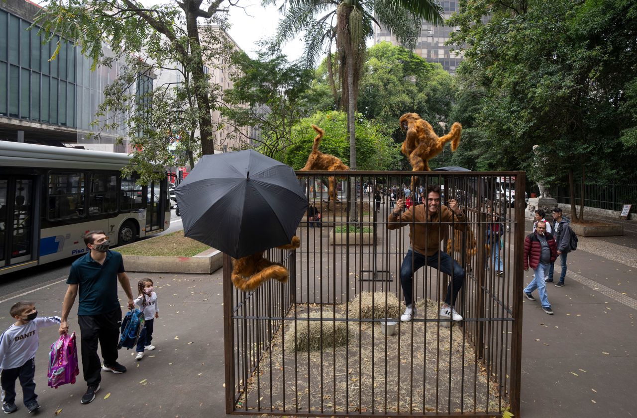 A man mimics a caged animal as he climbs an art installation traveling through São Paulo, Brazil, on Friday, May 6. According to artist Eduardo Srur, the exhibition "Vida Libre" ("Free Life") is intended to make society rethink how trapped animals are used for human entertainment.