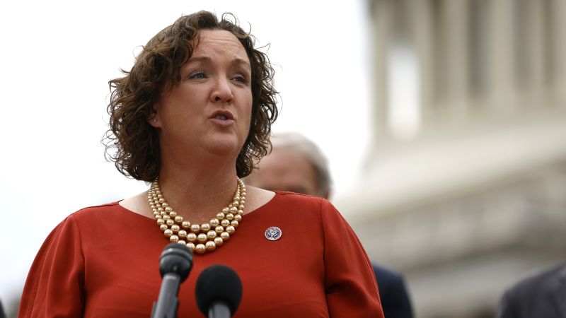 Opinion: Katie Porter said the words every Democrat in America needs to ...