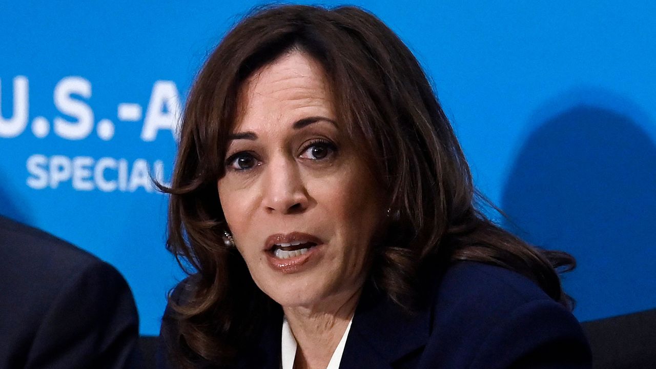 US Vice President Kamala Harris speaks as she meets with the leaders of ASEAN countries, members of the Cabinet, and other Administration officials to discuss climate action, clean energy, and sustainable infrastructure, during the US-ASEAN Special Summit at the State Department in Washington, DC, May 13, 2022. 