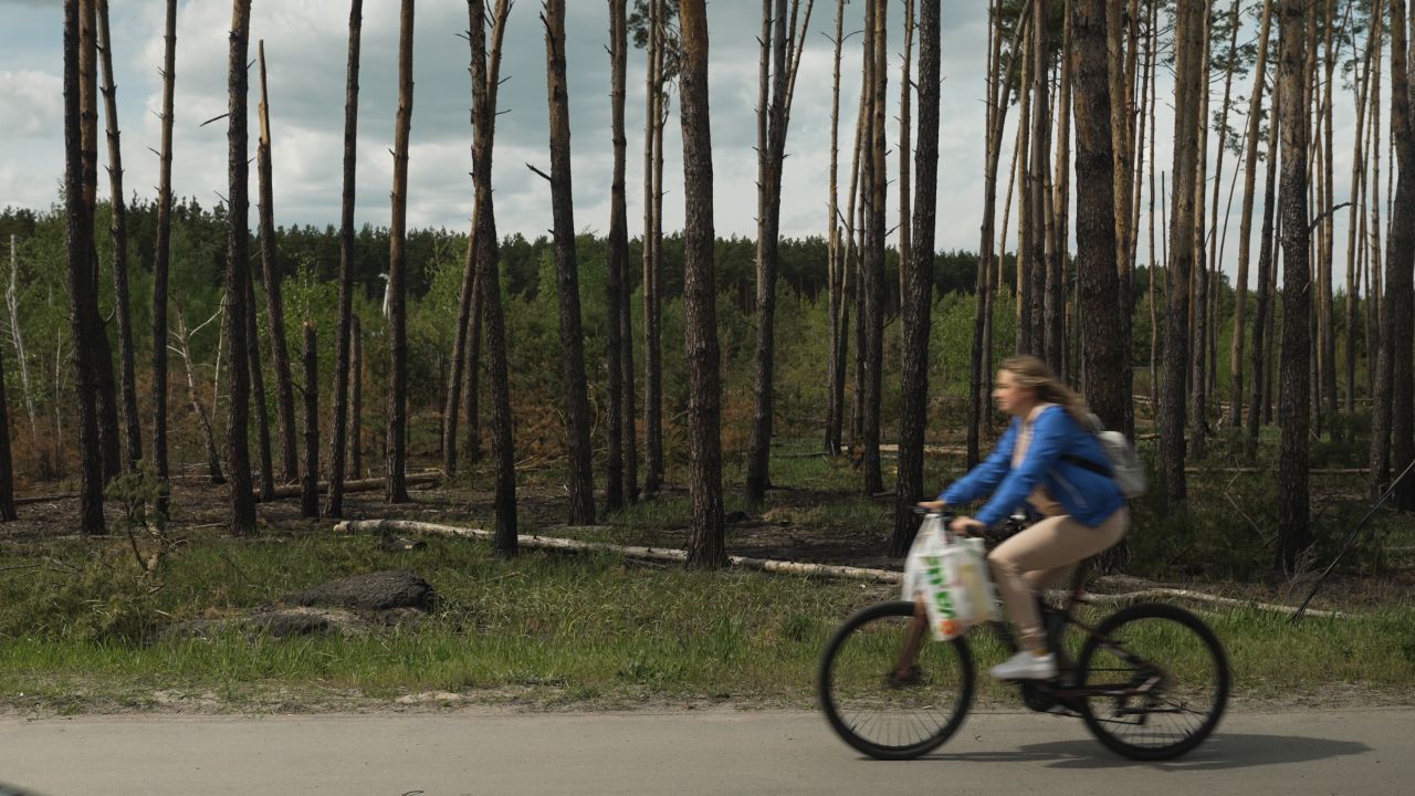 A cyclist passes a damaged section of a forest in Irpin.