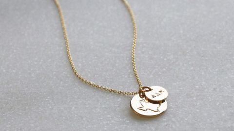 TheSilverWren College Necklace