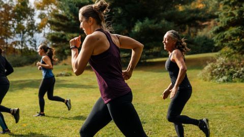 Ornish's program includes walking or other aerobic exercise.