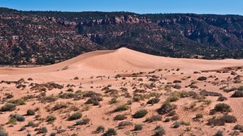 A 13-year-old died from injuries sustained when a sand dune at Coral Pink Sand Dunes State Park collapsed while he was digging a tunnel, park officials said.